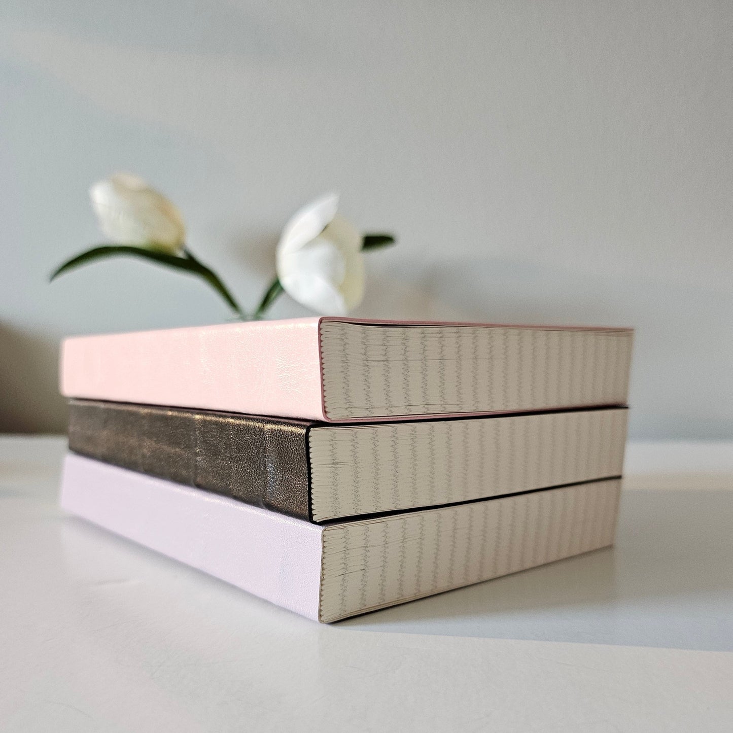 Pink Chubby Journal Book / Tomoe River Paper